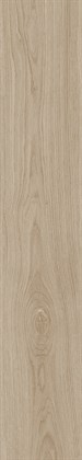 CEDAR WOOD PINE - фото 145655