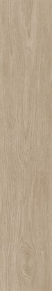 CEDAR WOOD PINE - фото 145657