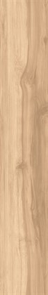 FOSSIL WOOD BRICH - фото 145758