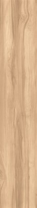 FOSSIL WOOD BRICH - фото 145759