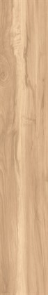 FOSSIL WOOD BRICH - фото 145761