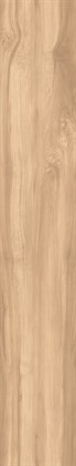 FOSSIL WOOD BRICH - фото 145762