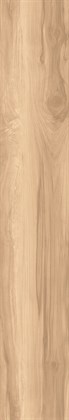 FOSSIL WOOD BRICH - фото 145763