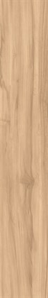 FOSSIL WOOD BRICH - фото 145764