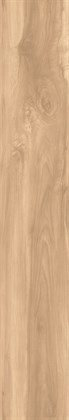 FOSSIL WOOD BRICH - фото 145765