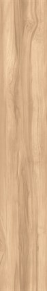 FOSSIL WOOD BRICH - фото 145766