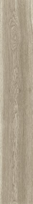 MORDIC WOOD ASH - фото 145823