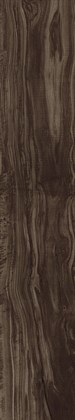 PEARSIAN WOOD CHARCOAL - фото 145873