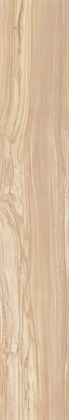 PEARSIAN WOOD IVORY - фото 145880