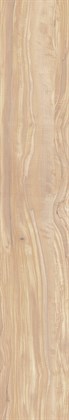 PEARSIAN WOOD IVORY - фото 145881