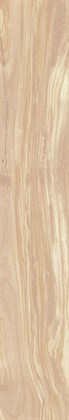 PEARSIAN WOOD IVORY - фото 145888