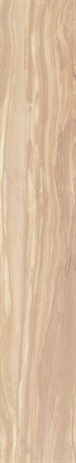 PEARSIAN WOOD IVORY - фото 145889