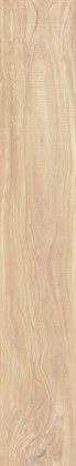 PEARSIAN WOOD IVORY - фото 145891