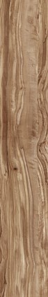 PEARSIAN WOOD NATURAL - фото 145906