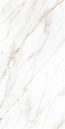 SELVA GOLD - фото 145948