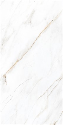 SELVA GOLD - фото 145949
