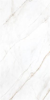 SELVA GOLD - фото 145950