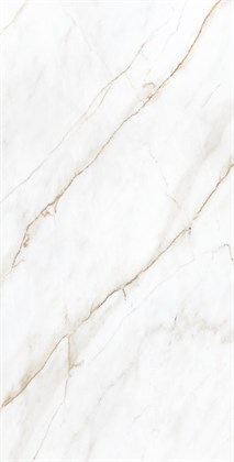 SELVA GOLD - фото 145951