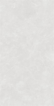 OVIEDO SILVER - фото 146283