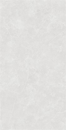 OVIEDO SILVER - фото 146284