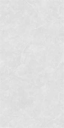OVIEDO SILVER - фото 146286