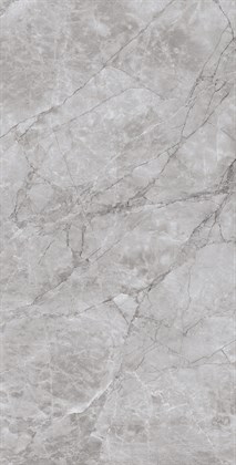 ARCTIC GREY - фото 146473