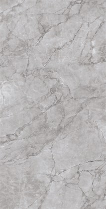 ARCTIC GREY - фото 146474