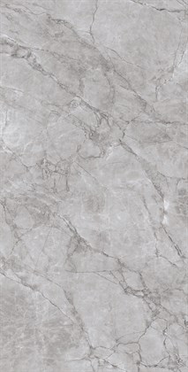 ARCTIC GREY - фото 146475