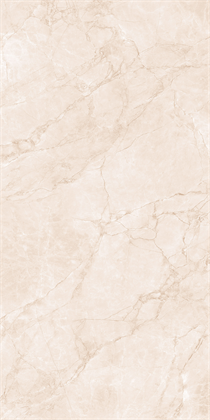 ARCTIC PEARL - фото 146483