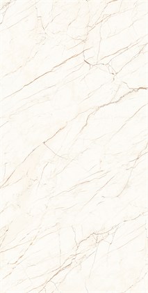 CEASAR - фото 146491