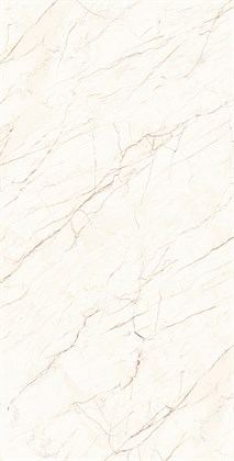 CEASAR - фото 146493