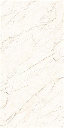 CEASAR - фото 146494