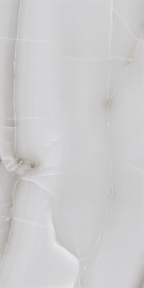 ONYX LINE GREY - фото 146569