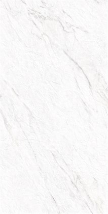 LAZIO BIANCO - фото 146627