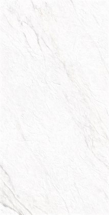 LAZIO BIANCO - фото 146629