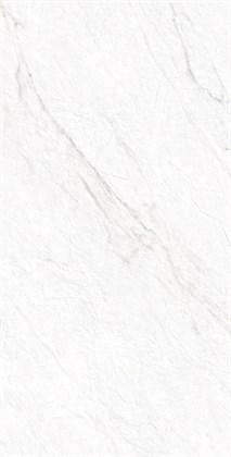 LAZIO BIANCO - фото 146630
