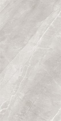 ARMANI SILVER - фото 146665