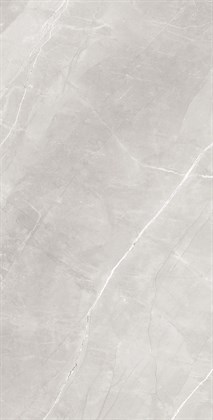 ARMANI SILVER - фото 146666