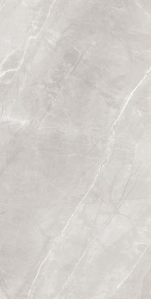 ARMANI SILVER - фото 146668