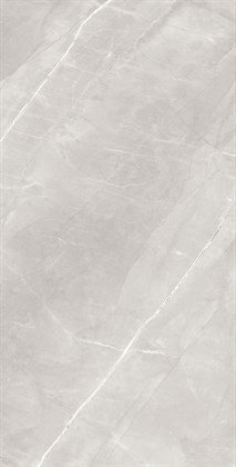 ARMANI SILVER - фото 146669