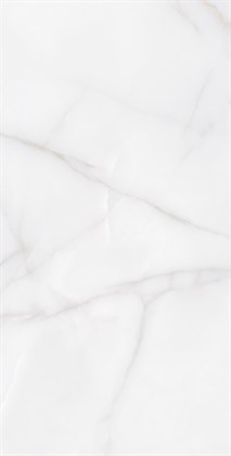 FEATHER ONYX - фото 146672