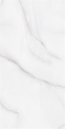 FEATHER ONYX - фото 146673