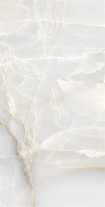 ONYX MAX - фото 146748