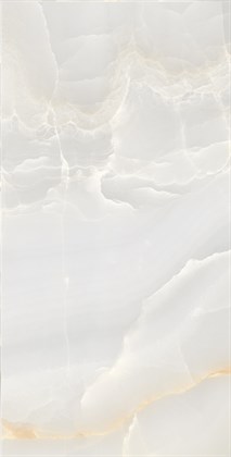 ONYX MAX - фото 146749
