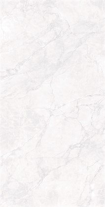 ARCTIC WHITE - фото 146797