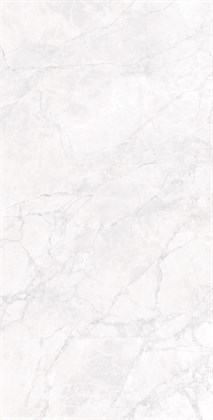 ARCTIC WHITE - фото 146798