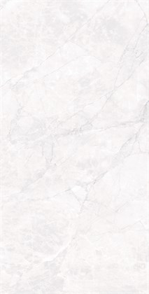 ARCTIC WHITE - фото 146799