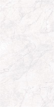ARCTIC WHITE - фото 146800
