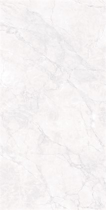 ARCTIC WHITE - фото 146801