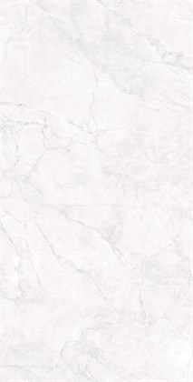 ARCTIC WHITE - фото 146802